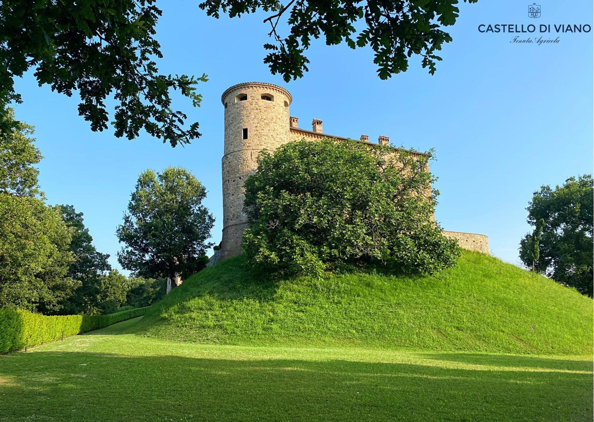 Vila Castello Di Viano Exteriér fotografie