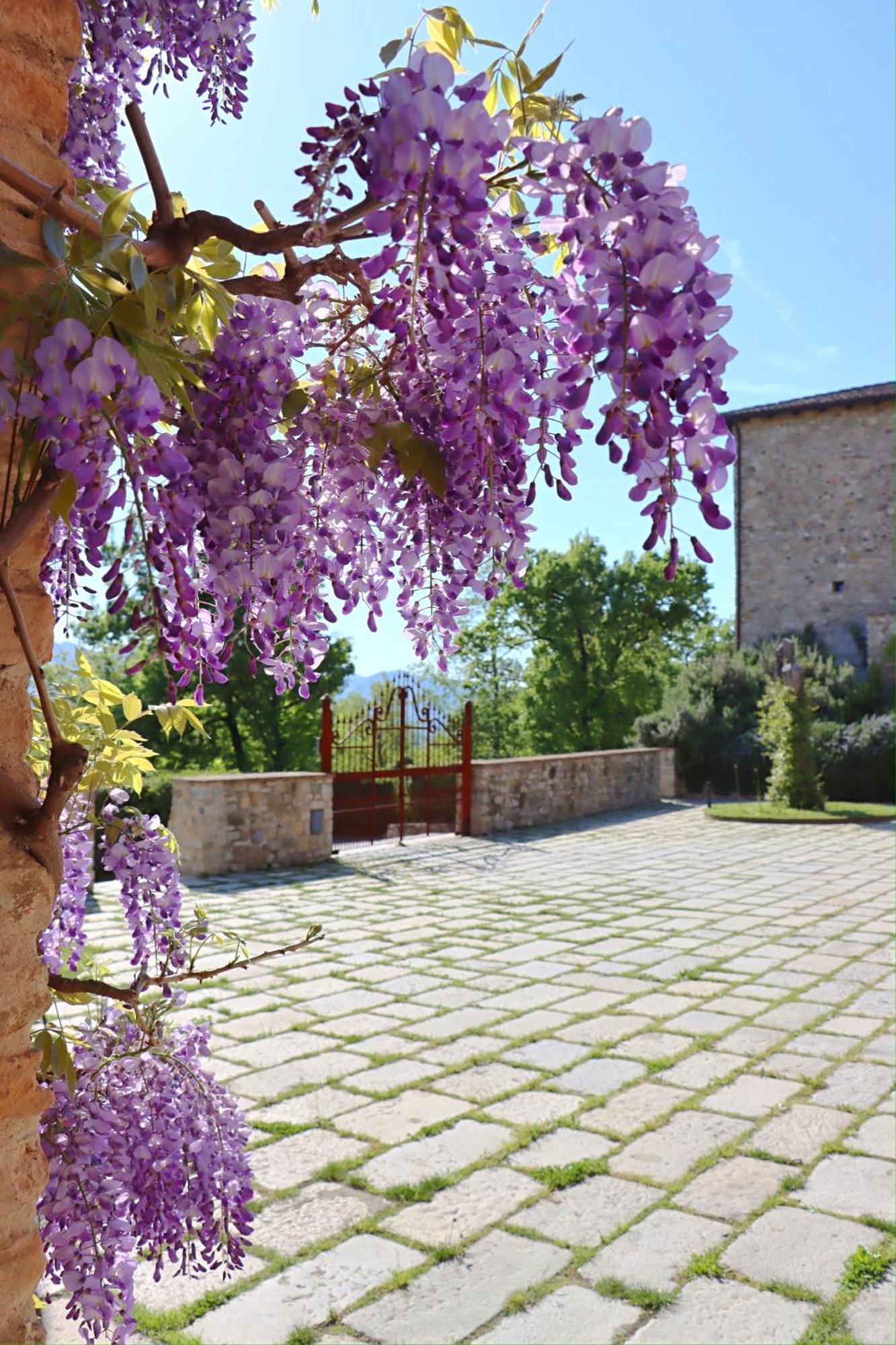 Vila Castello Di Viano Exteriér fotografie