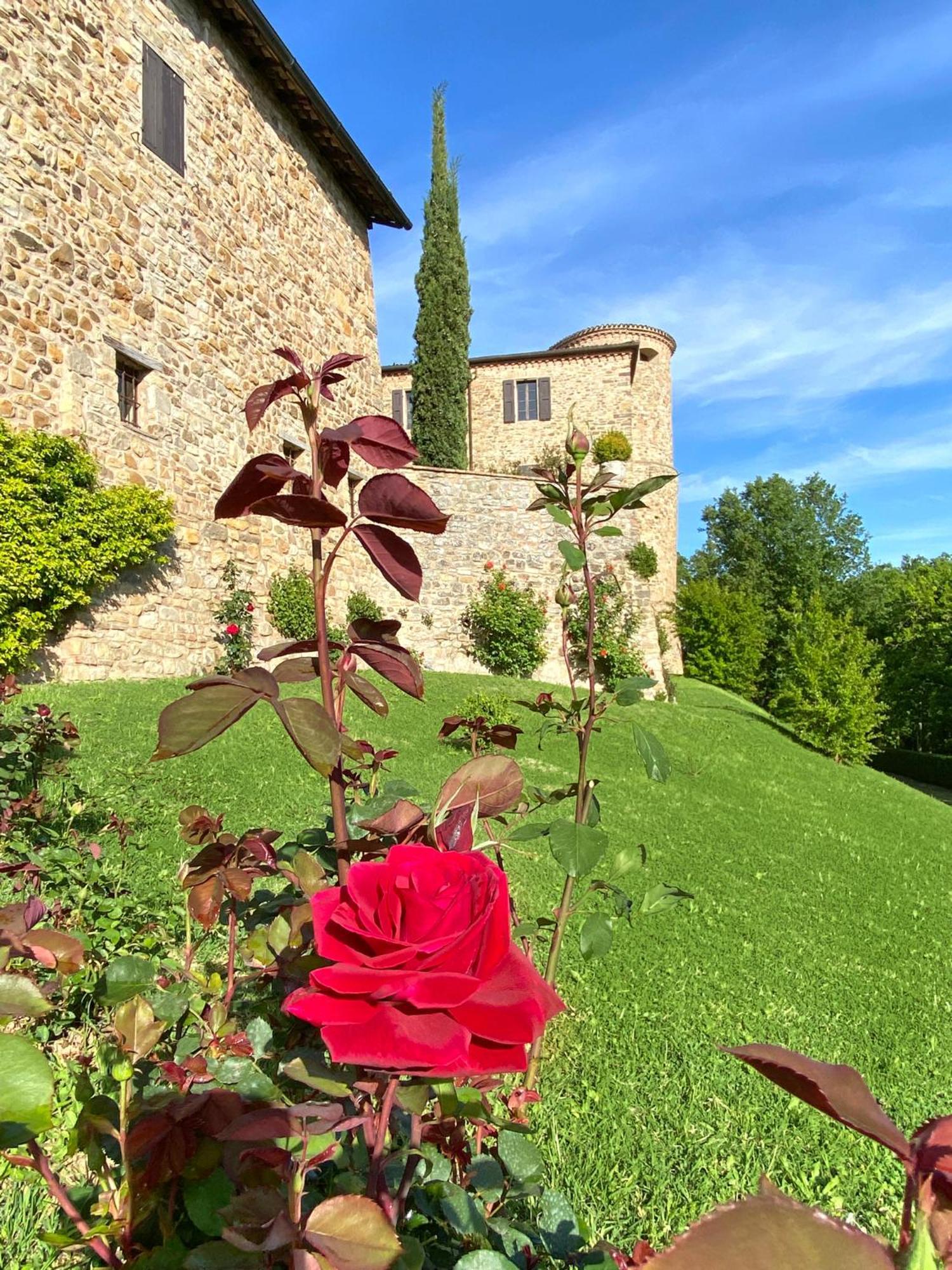 Vila Castello Di Viano Exteriér fotografie